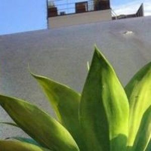 Meet your Posher, Jerry